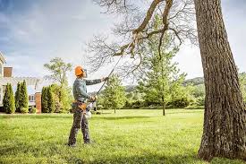 Best Hedge Trimming  in Round Lake Beach, IL